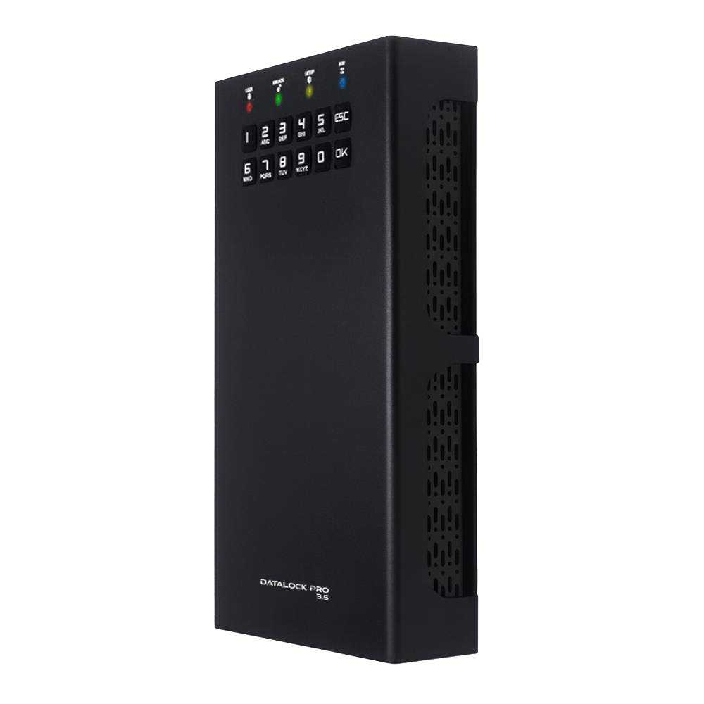 Внешний диск с аппаратным шифрованием DataLock PRO 3.5 6 ТБ