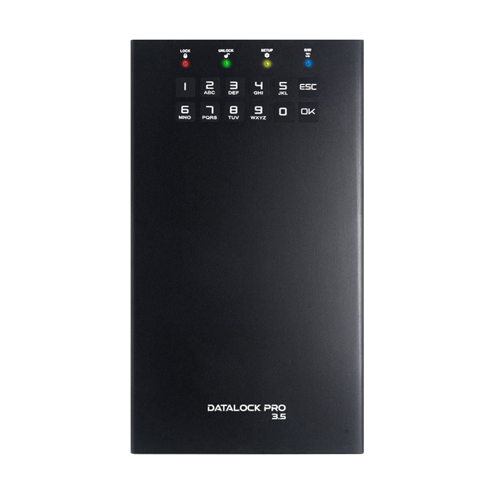 Внешний диск с аппаратным шифрованием DataLock PRO 3.5 6 ТБ
