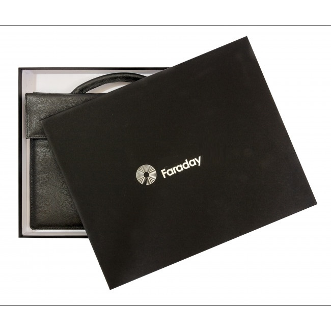 Сумка для ноутбука Faraday NS1E Black