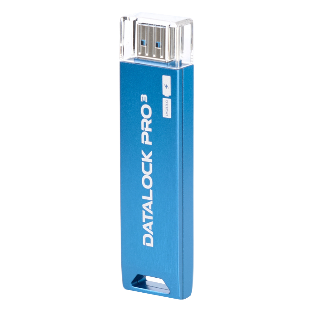 Флешка с пин кодом DataLock PRO3 Blue 64 Gb USB 3.0
