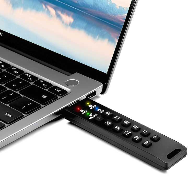 Флешка с аппаратным шифрованием DataLock PRO4 1 TB USB 3.2
