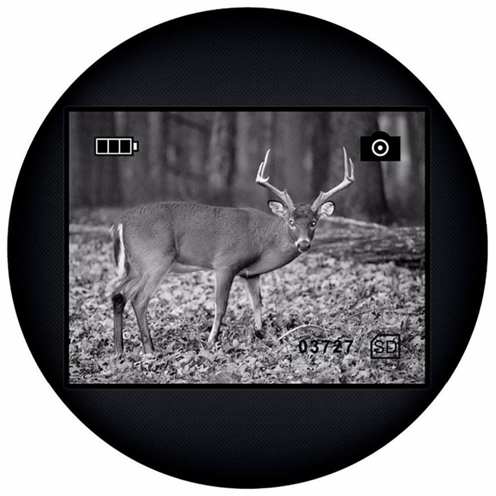 Монокуляр Levenhuk Atom Digital DNM100