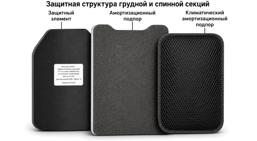 Защитная структура грудной и спинной секций