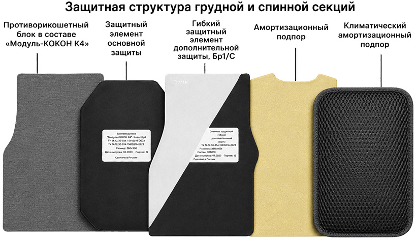 Защитная структура грудной и спинной секций