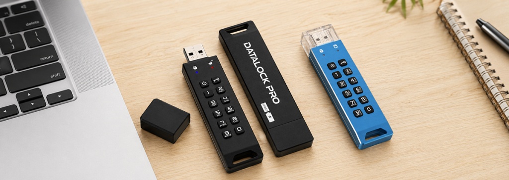 Защищенная флешка DataLock PRO 3