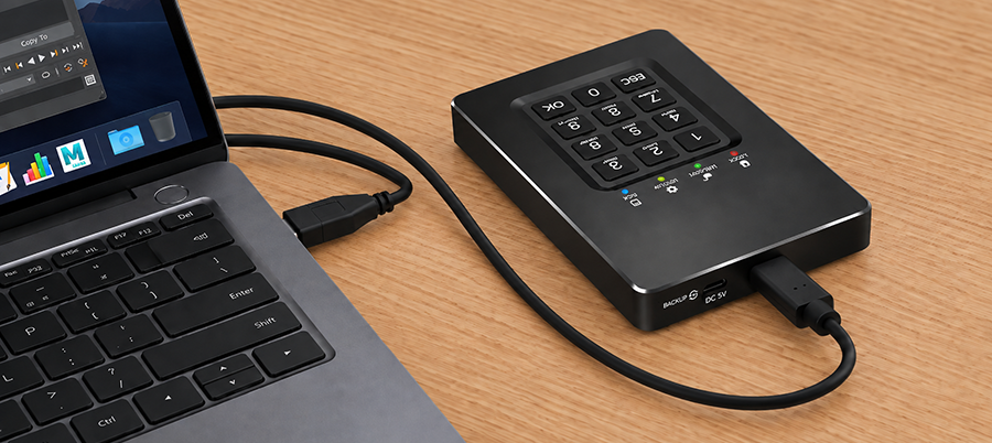 SSD-диск с шифрованием и ПИН-кодом DataLock PRO 500 Гб