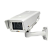 AXIS P1354-E