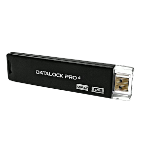 Флешка с шифрованием и паролем DataLock PRO4 256 Gb USB 3.2