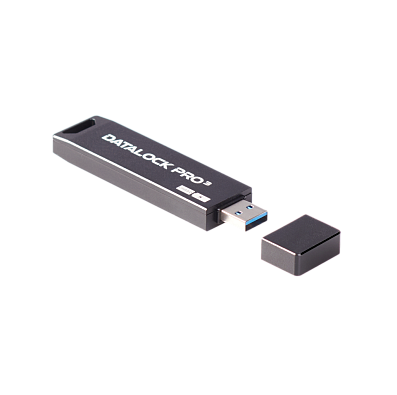 Флешка с аппаратным шифрованием DataLock PRO 16Gb USB 3.0