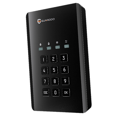 Внешний диск с аппаратным шифрованием GuardDo 4 Тб