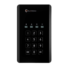 Внешний диск с шифрованием и пин-кодом GuardDo HDD 1 Тб