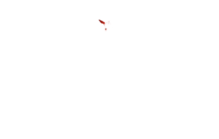 Тепловизор монокуляр Hikmicro GRYPHON GH35L