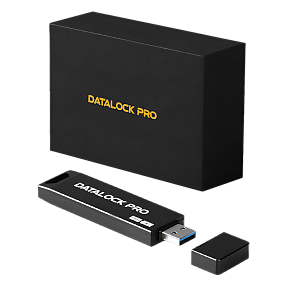 Флешка с шифрованием и пин-кодом DataLock PRO 32Gb USB 3.0