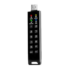 Флешка с аппаратным шифрованием DataLock PRO4 128 Gb USB 3.2