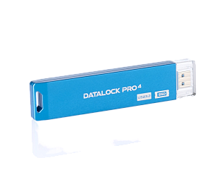 Флешка с аппаратным шифрованием DataLock PRO4 Blue 256 Gb USB 3.2