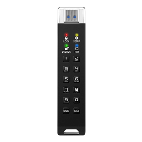 Флешка с аппаратным шифрованием DataLock PRO4 128 Gb USB 3.2