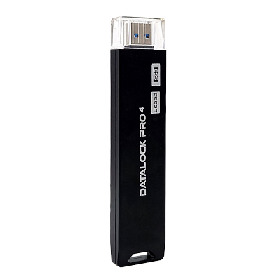 Флешка с шифрованием и паролем DataLock PRO4 256 Gb USB 3.2