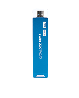 Флешка с аппаратным шифрованием DataLock PRO4 Blue 256 Gb USB 3.2
