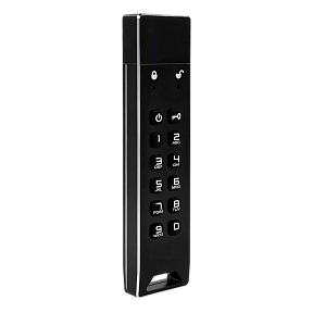 Флешка с паролем на корпусе DataLock PRO3 64 Gb USB 3.0