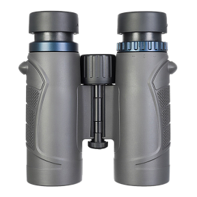 Бинокль Levenhuk Nitro 10x32