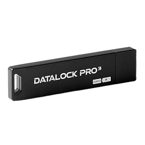 Флешка с паролем на корпусе DataLock PRO3 64 Gb USB 3.0