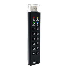 Флешка с ПИН-кодом DataLock PRO4 512 Gb USB 3.2