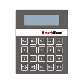 Арочный металлодетектор SmartScan IntelliMax WP