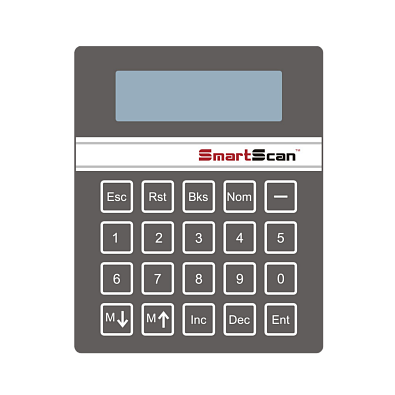 Арочный металлодетектор SmartScan IntelliMax WP
