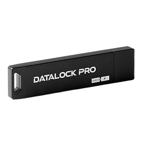 Флешка с шифрованием и пин-кодом DataLock PRO 32Gb USB 3.0