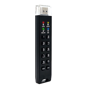 Флешка с аппаратным шифрованием DataLock PRO4 128 Gb USB 3.2