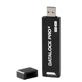 Флешка с паролем на корпусе DataLock PRO3 64 Gb USB 3.0