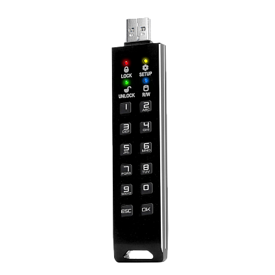 Флешка с шифрованием и паролем DataLock PRO4 256 Gb USB 3.2