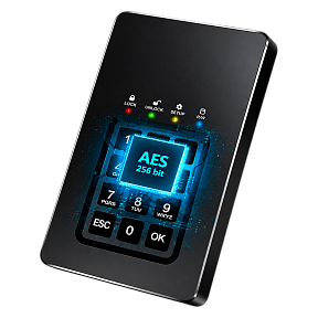 SSD-диск с шифрованием и ПИН-кодом DataLock PRO 500 Гб (2,5)