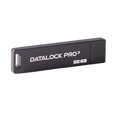 Флешка с аппаратным шифрованием DataLock PRO 16Gb USB 3.0