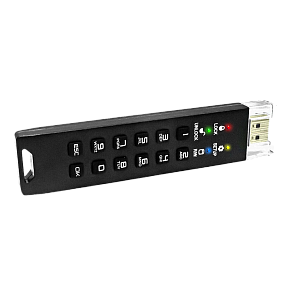 Флешка с аппаратным шифрованием DataLock PRO4 128 Gb USB 3.2