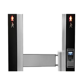 Досмотровый комплекс SmartScan IntelliMax TRIO