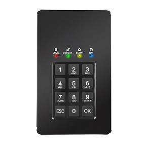 SSD-диск с ПИН-кодом DataLock PRO 2 ТБ (2,5)