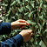 Основа для маскировочной сетки от БПЛА МС 45/50