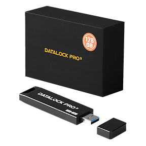 Флешка с паролем на корпусе DataLock PRO3 64 Gb USB 3.0