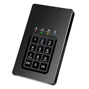 SSD-диск с шифрованием и ПИН-кодом DataLock PRO 500 Гб (2,5)