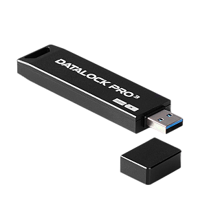 Флешка с пин кодом DataLock PRO3 128 GB USB 3.0