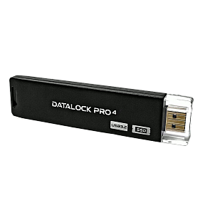 Флешка с аппаратным шифрованием DataLock PRO4 128 Gb USB 3.2
