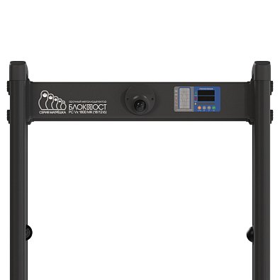 Арочный металлодетектор Блокпост Матрёшка PC Vx 1800 (18|12|6) с видеонаблюдением